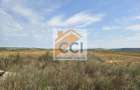 Teren intravilan 50.000 mp, Bacau, Soseaua Hol - 6
