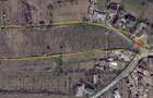 Teren mixt (intravilan+extravilan agricol, vita de vie) Cotesti Vrancea 15EUR mp - 2