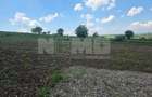 TEREN INTRAVILAN | SFINTU ILIE, SUCEAVA | 40.000 /parcela - 5