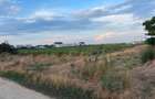 Teren Intravilan 959 mp Balaceanca (Cernica), Zona Rezidentiala Noua - 3