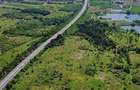 Teren 30 Ha la A1 BucurestiPitesti, Km 34 | 550 m Deschidere | - 4