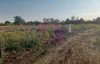 Săbăreni, lot de casă 1050 mp, curent lângă teren - 3