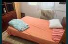 4 camere Teiul doamnei - 7