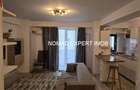 Oferte Inchirieri 2 Camere Parcul Herastrau - 7