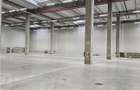 Spatiu Industrial - 1700 mp - Logistica - Productie - Depozitare - Dis - 11