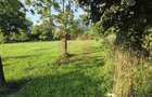 Teren intravilan 1430 mp de vanzare in Brebu - 2