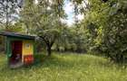 Teren in Breaza Frasinet | 1.955 mp | 23 /mp - 3