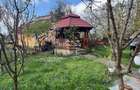 NECTORA IMOB Exclusivitate-Casa Str. Caisilor, 757 mp tereen, Utilata - 6