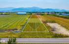 Teren Intravilan|5.686 Mp| M3 |Potential Rezidential|Brasov