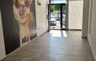Spatiu comercial Drumul Taberei, langa Clinica Brancusi,Trifazic - 2