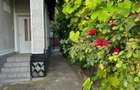 Vand casa in localitatea Halmeu - 3