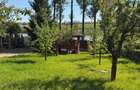 Casa pe malul lacului Ezareni + 1.000 mp teren+ Livada pomi fructiferi - 2