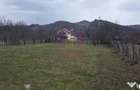 Teren 734 mp intravilan de vanzare in Brebu - 8