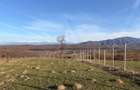 Teren intravilan 809 mp Tropinii Noi langa padurea Dumbrava - 17