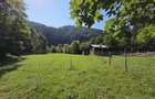 Teren de vanzare com. Borca Sat Borca jud. Neamt - 5