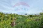 Teren intravilan de vanzare 2,464 mp, Gurbanesti - 8