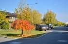 Oxford Gardens 3 bedrooms - investment - 3000 eur/month rent