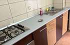 Apartament 2 camere, Parter, Banat, Renovat - 2