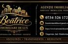 Agentia Beatrice Imobiliare de Lux