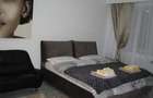 Apartament premium 2 camere, 73 m2, garaj si boxa Str. Republicii, langa Gradina Botanica - 398.000 Euro - 5