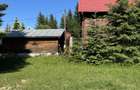 Teren intravilan, 400 mp, Bușteni Cartier Zamora – Panoramă spre Bucegi - 6