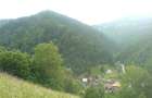 Vand Casa-gospodarie - 3