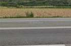 Teren de la 50 m de sensul Giratoriu Vestem - Vestem (Sibiu) - 1