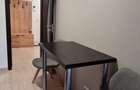 Apartament 1 camera Dec 42 mp. + curte Bucium Family Market 320 euro - 7