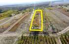 VIDEO | Teren intravilan cu livada – 1.000 m² in Ardud-Vii, cu view spectaculos!