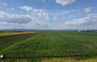 Teren extravilan 395 mp, Prejmer, Brasov - 3 600 euro - 4