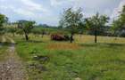 Teren intravilan in Campina, 1490mp--26.820e