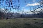 Breaza. Str Plaiului. Teren cu priveliste panoramica si utilitati. - 2