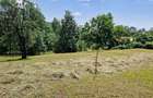 Teren de vanzare 2.000 mp, Comarnic, Prahova - 4