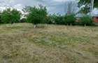 Teren intravilan de vanzare | 900 mp | Movila | Toate utilitatile - 4