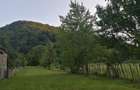 Vand casa ?i teren 2500 mp la munte in Valea Uzului. - 3