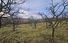 Teren extravilan 10,791mp Falticeni / Strada DJ209A, Opriseni - 15