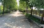 Schimb teren langa Bucuresti pe teten sau casa jud.Brasov - 8