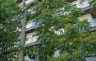 Garsoniera moderna de inchiriat Dristor | Day Residence | 550 /luna - 3