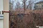 Vanzare Teren 625mp Mogosoaia / Strada Livezilor - 6