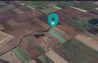 TEREN ARABIL DE 8.700 MP SACO?U TURCES - 1