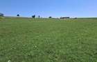 Teren 3.800 mp Dealu Daii (Zona Bungard/Zorabia) Utilitati in vecinatat - 2