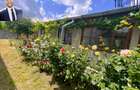 *Casa P+Pod(150 mp + 936 mp Curte)/Centrala proprie/Toate Utilita?ile - 13