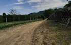 Teren de 2200 mp, în Romos - 6