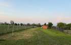 Vand 2200 mp teren intravilan in sat Poenari,comuna Ulmi - 14