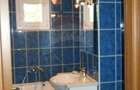 Apartament cu 4 camere de inchiriat in zona Targu Cucu - 8