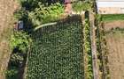 Casă Spațioasă și Domeniu Generos de Vânzare în sat Râu Barbat, comuna Pui, HD - 4