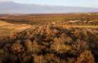 Reco Teren intravilan in Saldabagiu de munte 4333MP - 13