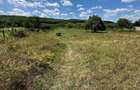 Teren Intravilan 35 Ari Nires - 3