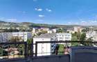Inchiriere Apartament 1 camera, Manastur, zona Calvaria, USAMV - 9