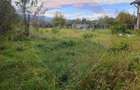 Teren 1,100mp Sighetu Marmatiei / Strada Primăverii - 5